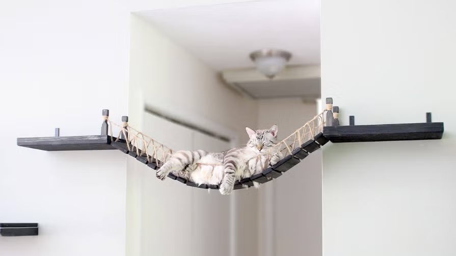 Whimsical Cat Bridge