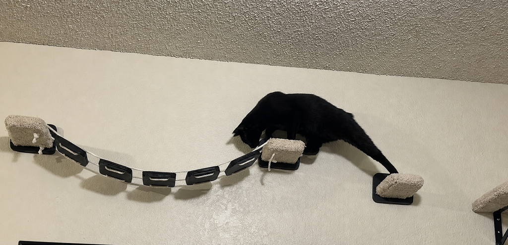 Curvy Cat Shelf