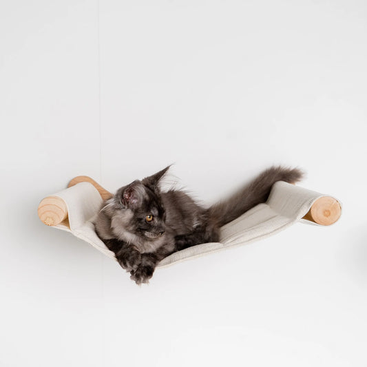 Cat Hammock