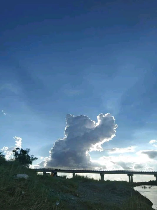 Cloud Cat Bridge