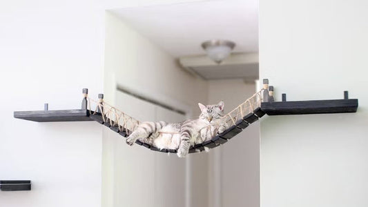 Whimsical Cat Bridge