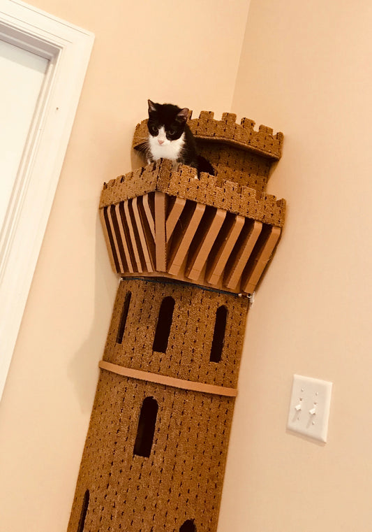 Castle Cat Shelf